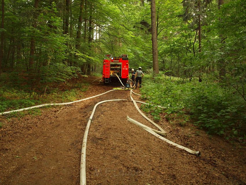 Waldbrand Bergisch Gladbach Bensberg P192.JPG